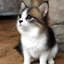 Placeholder: TUT TUL Tibby U[...] s[...]t enter more[...]