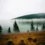 Placeholder: A polaroid photo of a group of fir trees in the background and a high hill in the distance. A lake. The surface below is in a pastel color. Fog is present.