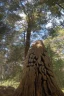 Placeholder: turn this tree trunk into a sharp stone mountain