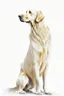 Placeholder: retriever dog , white background, in the style of degas