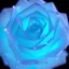 Placeholder: transparent multicolor crystal rose, under bioluminescent clouds, mist, detail