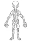 Placeholder: Aliens coloring page, full body (((((white background))))), only use an outline., real style, line art, white color, clean line art, white background, Sketch style.