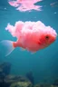 Placeholder: A plastic pink cloud floating in the fish