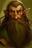 Placeholder: Gnom, braune lange wilde Haare, große, auffällig dicker Nase, grüne Augen, sehr jung (etwa zwanzig Jahre) , Druide, gebräunte Haut, kein Bart, Mann