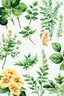 Placeholder: Create a "Vintage Botanicals and herbs" watercolour pattern. vintage botanical illustrations with designs featuring intricate floral patterns, botanical sketches, and lush foliage