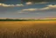 Placeholder: road wheat field byphil hale