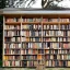 Placeholder: a house built out of books