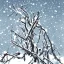 Placeholder: Branch ate in the snow illustration