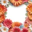 Placeholder: Gerbera flowers border frame isolated on white background, flower seamless pattern, floral ornamental decorative frame, design element