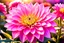 Placeholder: Magic garden with dahlia flower, pink, white, or parma light effects colors, sun, realistic, very detailed, nice dahlia flowers of different colors, high contrast, 8k, high definition, concept art, sharp focus