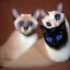 Placeholder: One Siamese cat Hipathy style