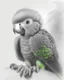 Placeholder: Drawing of a baby parrot