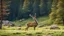 Placeholder: deer in forest next to rocks and grass fields