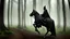 Placeholder: Dark robed wizard on a horse in the forest