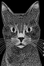 Placeholder: sadece çizgilerden oluşan bir kedi resmi. resim defteri için kalın çizgili olsun