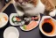 Placeholder: A cat wearing clothes is sitting at a table eating sushi. Manga style. Perfect iris. Paws. Mug with cat face