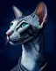 Placeholder: Oriental shorthair blue and white mackerl tabby cat hyperdetailed, In the art style of Jean-Antoine Watteau, Nicholas Roerich, Studio Light.