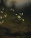 Placeholder: spring