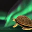 Placeholder: turtle and aurora