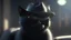 Placeholder: a cat with black fur wearing a black hat and black sunglasses, Unreal Engine, cinematic lighting