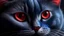 Placeholder: hyper realistic drawing of a cat, black furr, grey eyes, chubby, close up of the face, stares in the camera, red and blue light, highlights the furr and face, high details