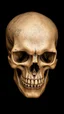 Placeholder: skull looks old brown coloured covered in a lot of corrosion from a black background,