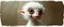 Placeholder: 3d airbrush render, white fluffy elf alien dodo , pinhole cam, airbrush 3d rendering, in the style of Titian and Dali , torn edges on border