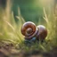 Placeholder: mummified snail from tinted murano glass in long grass ,bokeh like f/0.8, tilt-shift lens 8k,*-