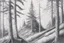 Placeholder: Norwegian forest, woodland- Pencil drawing, realistic, graphite