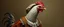 Placeholder: amish space alien hen dressed in amish outfit, painted by Rembrandt, Escher and Giger