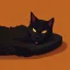 Placeholder: Gato negro durmiendo,cama, atardecer