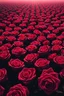 Placeholder: "A conceptual black-and- dark Red digital illustration of a massive roses in the same direction, heads down, symbolizing conformity. The atmosphere feels lifeless and repetitive, emphasizing the ordinary mindset of the majority."