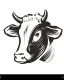 Placeholder: I want a bovine head in vector