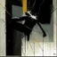 Placeholder: Minimal abstract oil painting of a falling person limbs sinew. Amongst concrete fragments brutalist architecture and hanging wires illuminated at night. In the style of Justin Mortimer and Phil Hale and Ashley Wood