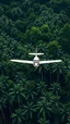 Placeholder: Small plane hovering above a jungle with big trees