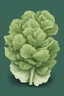 Placeholder: lettuce illustration style