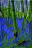 Placeholder: Twisted bluebells