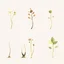 Placeholder: concept art of six low poly stylized alien dry single leaf plant on a neutral background. Strange fictional extraterrestrial flora with unusual shapes