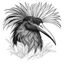 Placeholder: CASOAR À CASQUE Casuarius casuarius - Southern Cassowary. Record of Lodoss War style, Linework: Expressive, expressive black ink line art with variable stroke weights. Crisp contours define silhouettes while fine hatching adds subtle depth and form.