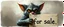 Placeholder: air brush 3d with pen outline, mongrel goblin gremlin looking at sign with big cute cat monster saying "cat for sale" with blurred shadow outline, charcoal fog border