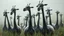 Placeholder: A surreal herd of gentle herbivorous creatures with long necks, one large central eye and a separate small, soft herbivore mouth, rounded bodies and dark gray-green skin, standing in a misty grassy landscape in soft rain. Curious, slightly uncanny expressions, photorealistic, cinematic atmosphere, realistic skin texture.
