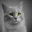 Placeholder: black and white cat, natural pigment, extremely sharp detail, finely tuned detail, ultra high definition, 8 k, unreal engine 5, ultra sharp focus, winter ambiance