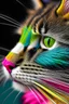 Placeholder: דרדס חתול צבעוני