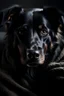 Placeholder: A dog covered with a black blanket
