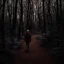 Placeholder: just walking in the woods