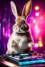 Placeholder: Photography Rabbit as dj player smusical self expression play dj in disco club