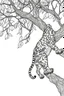 Placeholder: Outline art, leopard climbing a tree, cartoon style, low detail, --ar 9:11