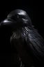Placeholder: Intricate, detailed, dark and mysterious – a style reminiscent of Gustave Doré. Rich, deep blacks and grays, with a single shaft of light illuminating the central figure. The mood is somber, foreboding, with a sense of unease and tension. A close-up perspective, focusing on the crow's piercing eyes and glossy, iridescent feathers. The setting is a moonlit graveyard, with craggy, gnarled tombstones and overgrown, twisted trees. The time of day is midnight, with a full, swollen moon casting eerie