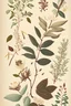 Placeholder: Vintage Botanicals Illustrations on Cream Background