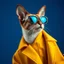 Placeholder: Prompt: The best cell phone wallpaper, Award-Winning Wallpaper, portrait photography, In the front view is a portrait of a Oriental shorthair Siamese wearing mid-1960s space age fashion, Side view photo, Shot with Canon EOS R5, Set a strong contrast that accentuates the subject, Fluorescent blue tone, Wearing a very modern coat and sunglasses is a modern 1960s style, Clothes all in one color, beautiful background.